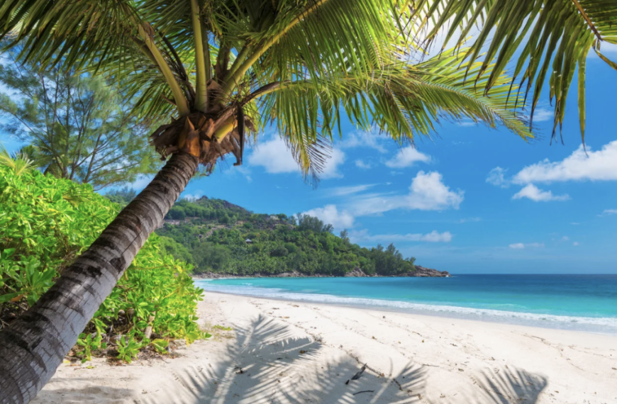 Best Beaches in Palm Beach, FL: Where to…